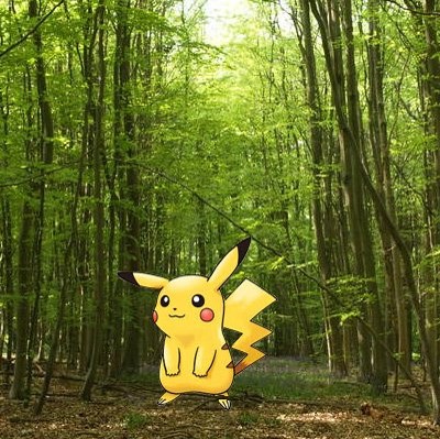 pokemon pokemon
