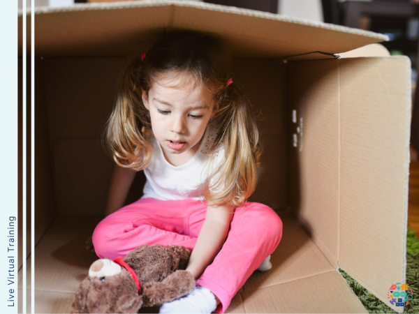 Child plays with a teddy inside a cardboard box