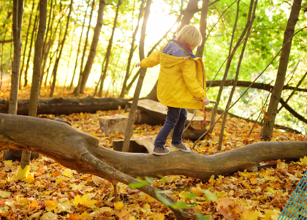 Child in bright yellow coat walks along tree branch
