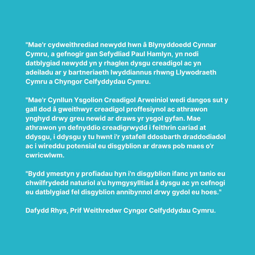 CEO Arts Council Wales quote