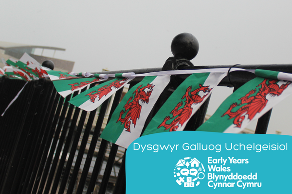 Cymraeg mewn Gofal 