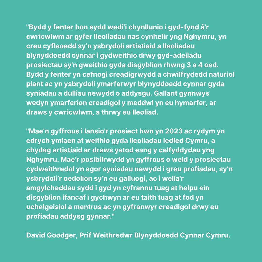 CEO Early Years Wales quote