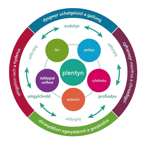 The five developmental pathways