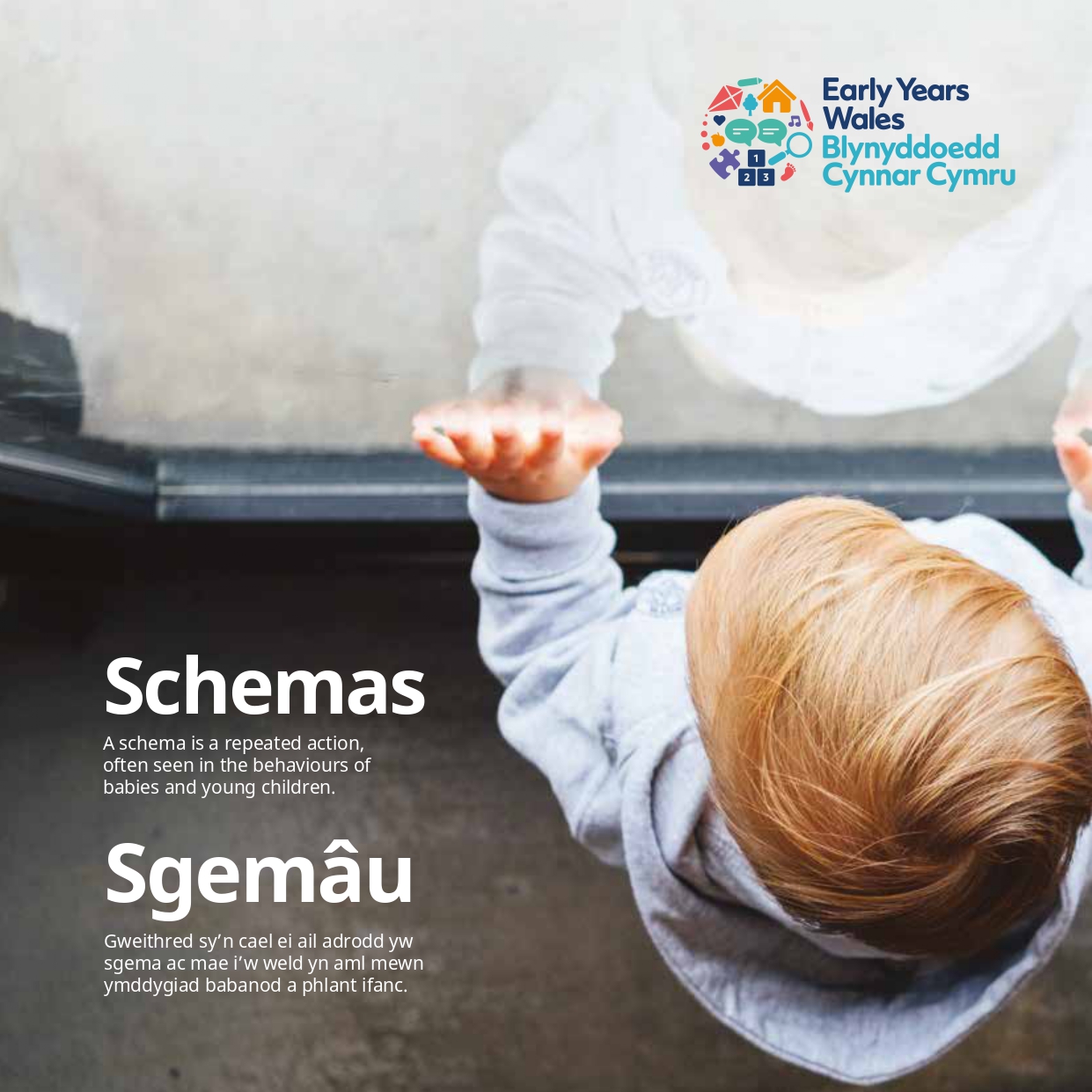 Front covers of Schemas Book published by Early Years Wales