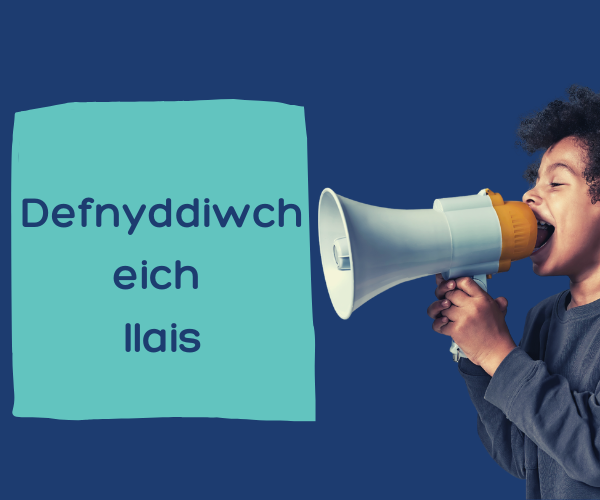 Lleisiau'r Aelodau, newidiadau arfaethedig SGC: defnyddiwch eich llais!