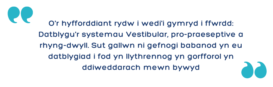 O'r hyfforddiant rydw i wedi'i gymryd i ffwrdd: Datblygu'r systemau Vestibular, pro-praeseptive a rhyng-dwyll. Sut gallwn ni gefnogi babanod yn eu datblygiad i fod yn llythrennog yn gorfforol yn ddiweddarach mewn bywyd
