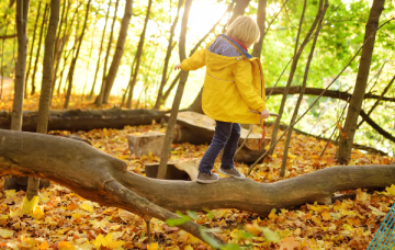Child in bright yellow coat walks along tree branch