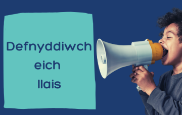 Lleisiau'r Aelodau, newidiadau arfaethedig SGC: defnyddiwch eich llais!