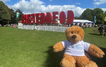 Image is of Early Years Wales teddy at the Eisteddfod 