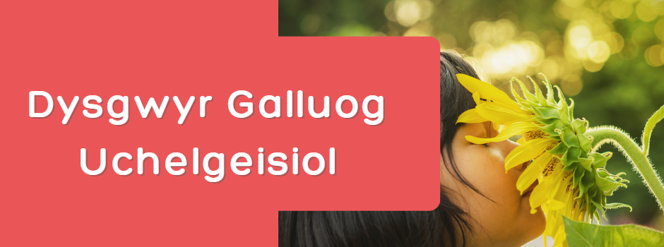 Dysgwyr Galluog Uchelgeisiol Dysgwyr Galluog Uchelgeisiol