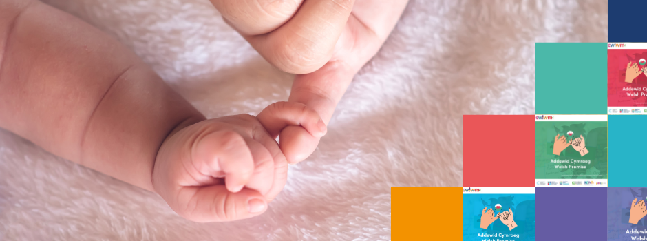 The Welsh Promise Picture of baby holding on to adult hand
